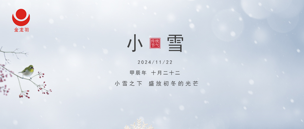 小雪至，寒未深 —— 金龍羽電線電纜與你溫暖相伴